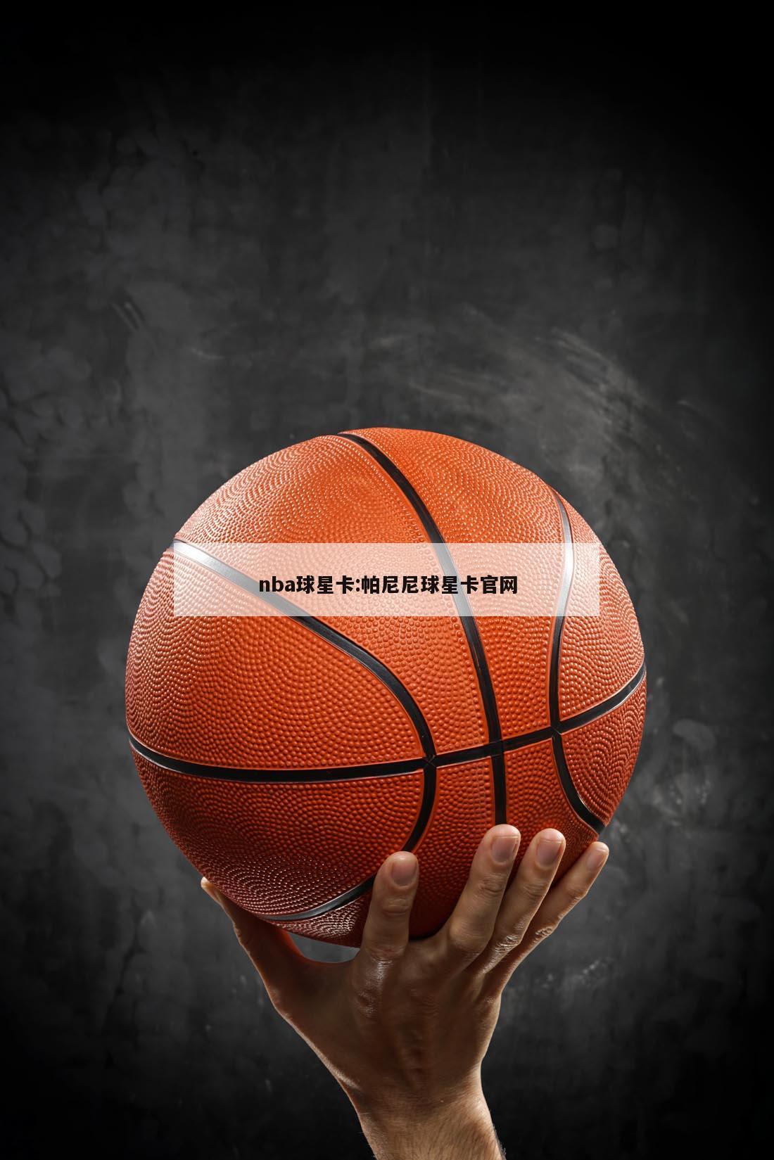 nba球星卡:帕尼尼球星卡官网